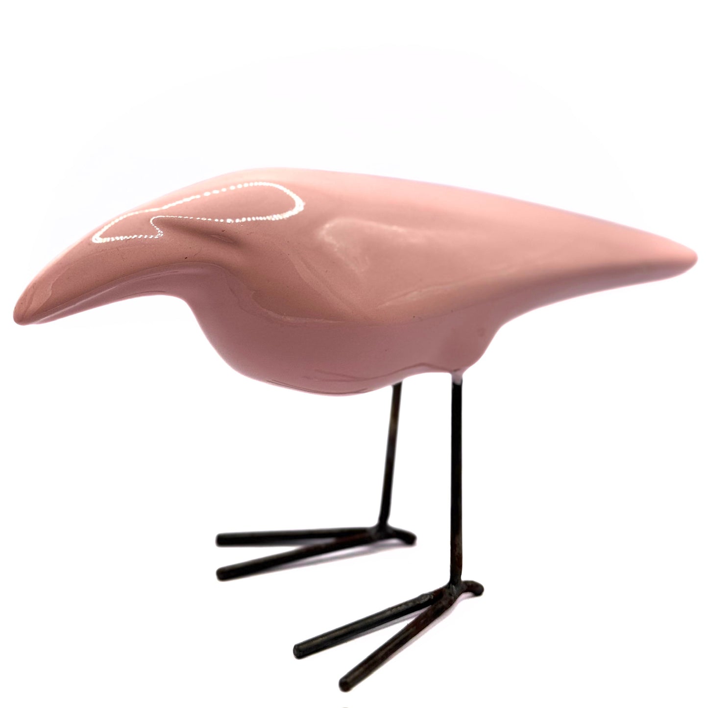 Oiseau Dana
