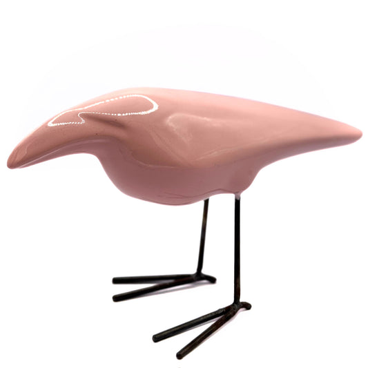 Oiseau Dana