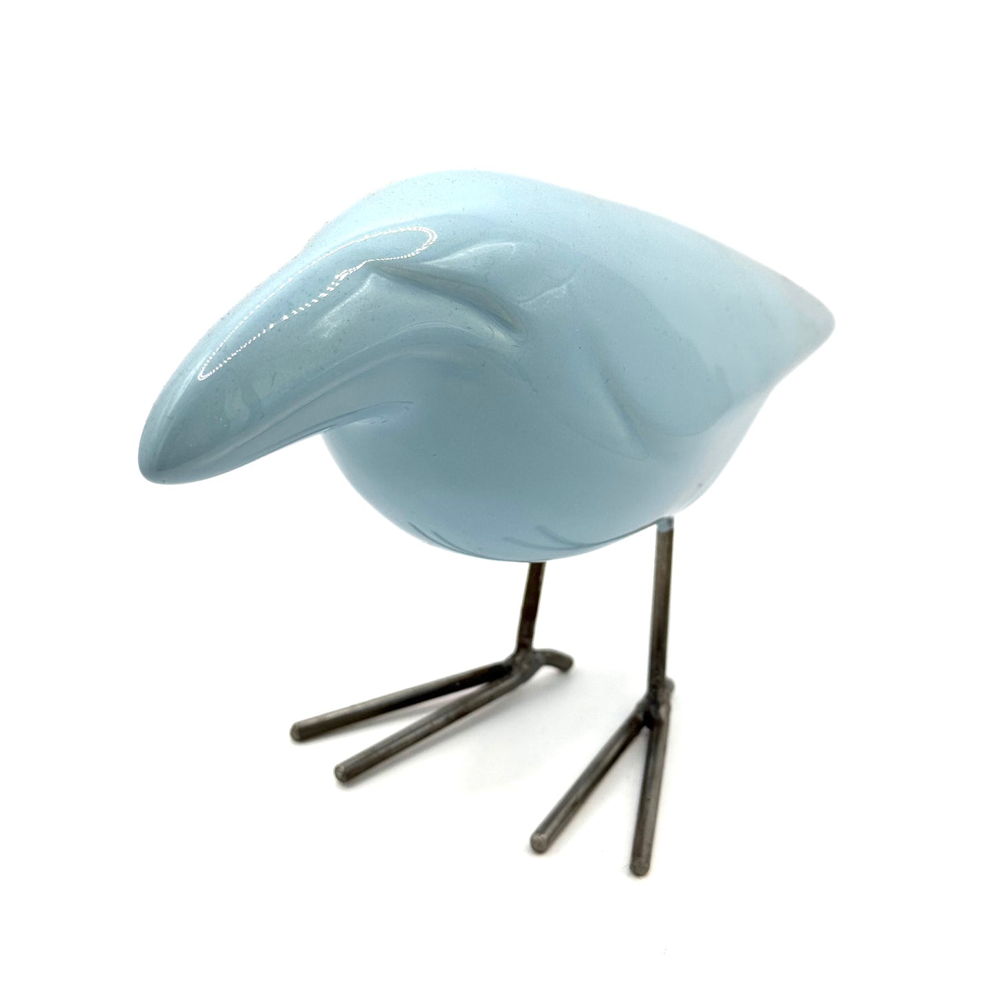 Oiseau Dana