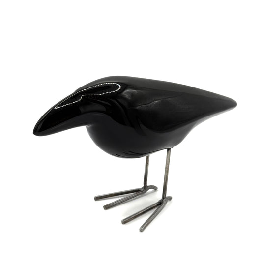 Oiseau Dana